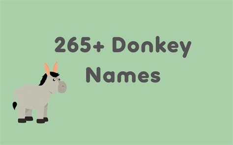 265 Baby Donkey Names Cute And Funny Ideas Equine Desire