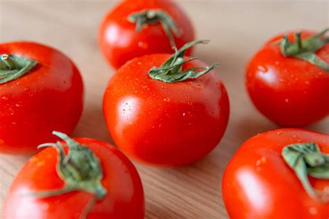 Cara Mengatasi 5 Jenis Hama Pada Tanaman Tomat Pupuk Dinosaurus