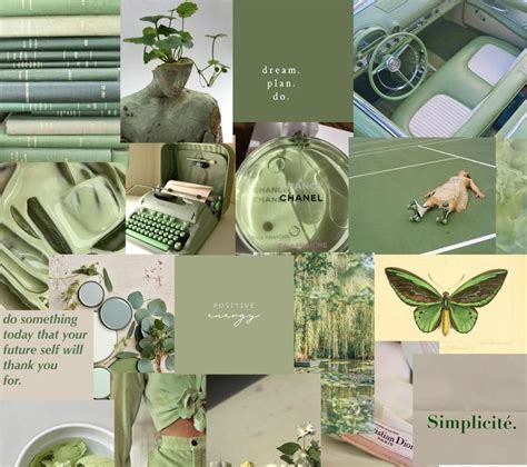 Aesthetic Sage Green Wallpaper Collage