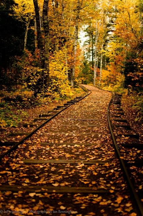 Autumn Tracks Met Afbeeldingen