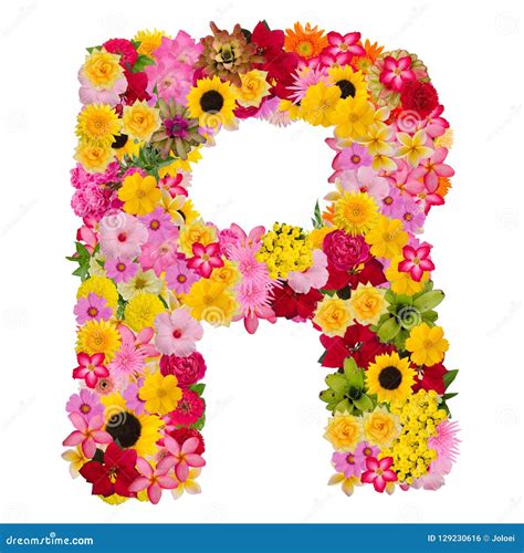 Letter R Alphabet With Flower Abc Concept Type As Logo Isolated Stock
