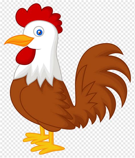 Ayam Hewan Peliharaan Burung Ayam Hewan Galliformes Kartun Png