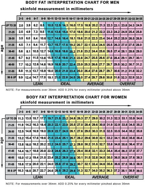 Body Fat Chart Fantasy Weight Loss Challenge