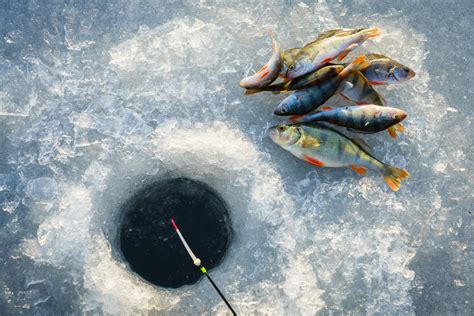 Ice Fishing Guide Gear And Equipment