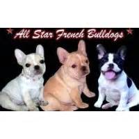 We welcome any questions you may have about our french bulldog puppies for sale or french bulldog stud services. French Bulldog Puppies and Dogs for Sale/Adoption in Texas ...