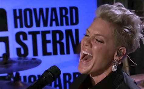 Watch Pink Rocks Howard Stern Show With Trustfall Fckin Perfect And What About Us