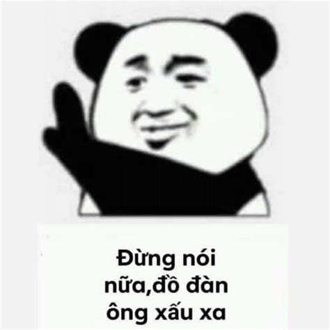 tổng hợp meme gấu trúc weibo hài hước độc bá đạo eu vietnam business network evbn