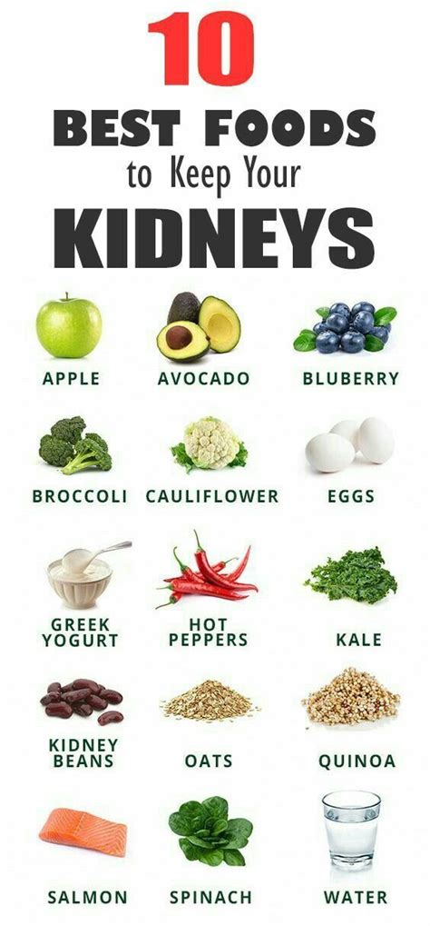 Best Foods For Kidneys Foods Good For Kidneys Healthy Kidneys Healthy