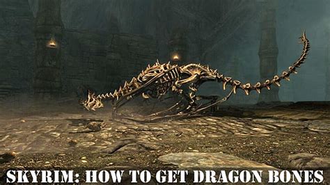Skyrim How To Get Dragon Bones Gameskinny