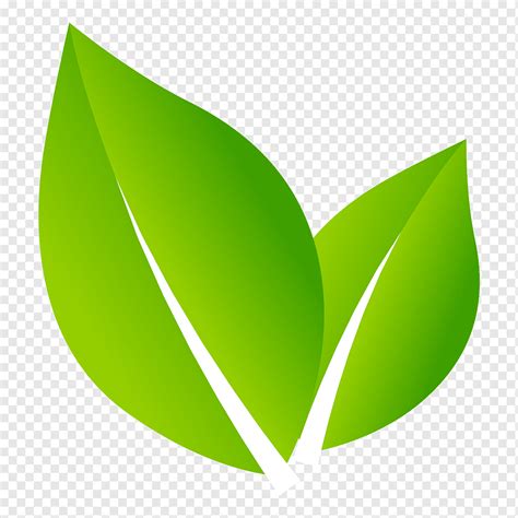 Logo Nature Leaf Design Grass Abc Logo Plant Png Pngwing