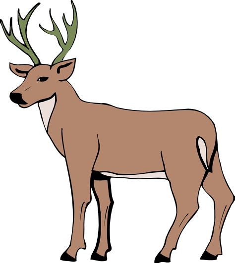 Deer Drawing Cartoon At Getdrawings Free Download