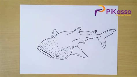 How To Draw A Whale Shark Step By Step Youtube