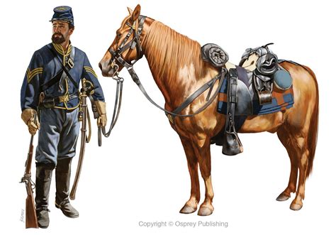 Union Cavalryman 1863 Civil War Art War Horse Cavalryman