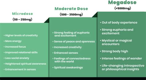 About Us And Shrooms Shrooms And Edibles