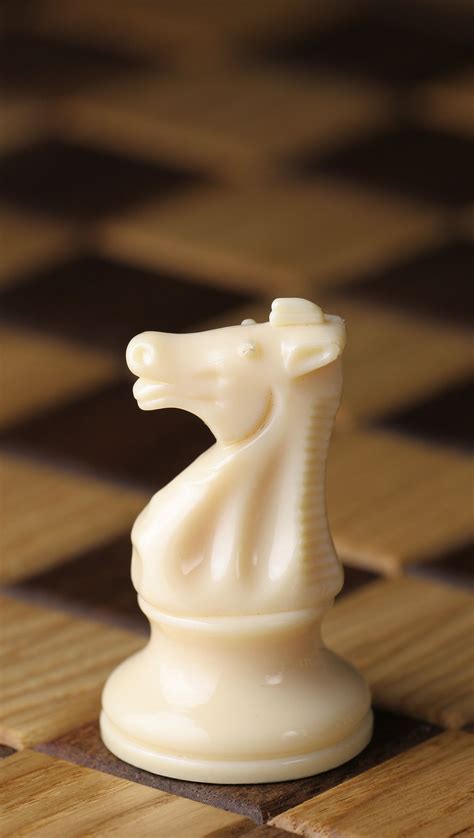 Knight Chess Wikipedia