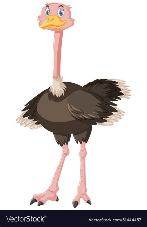 Cute Ostrich Cartoon Character Royalty Free Vector Image