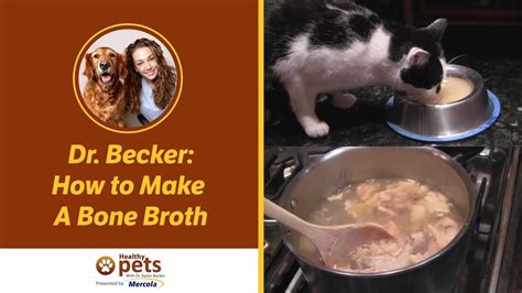 It's gentle on the digestive system, so it won't aggravate an already upset tummy. Dr. Becker Demonstrates How to Make A Bone Broth | FunnyDog.TV