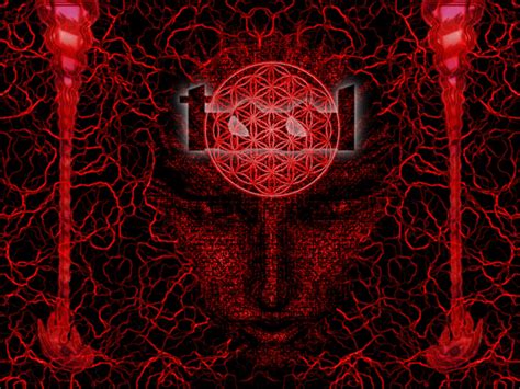 Tool Band Wallpaper Hd Wallpapersafari