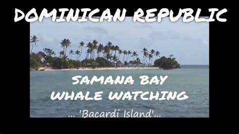 Samana Bay Whale Viewing Day Cruise And Bacardi Island Dominican