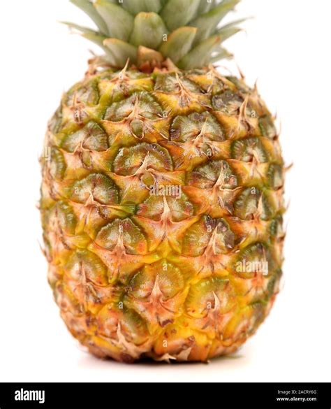 Fresh Pineapple Close Up Isolated Stock Photo Alamy