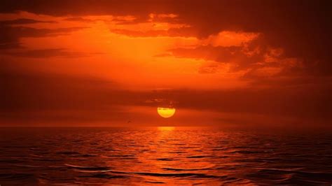 Premium Photo Red Sky Sunset Over The Ocean