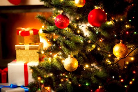 Christmas Tree Secrets What Your Tree Wishes You Knew Readers Digest