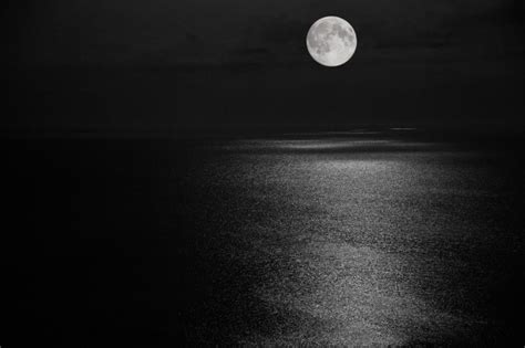 Moonlight Reflection Free Stock Photo Public Domain Pictures