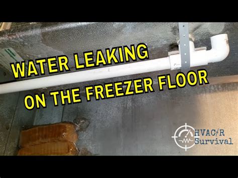 Chest Freezer Leaking Water Onto Floor Floor Roma