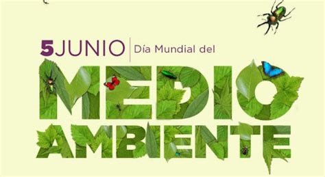 El taco, sin duda, es uno de los platillos favoritos de muchas personas, se ha vuelto como una referencia de los mexicanos. Sustentable | El planeta se unirá para celebrar la ...