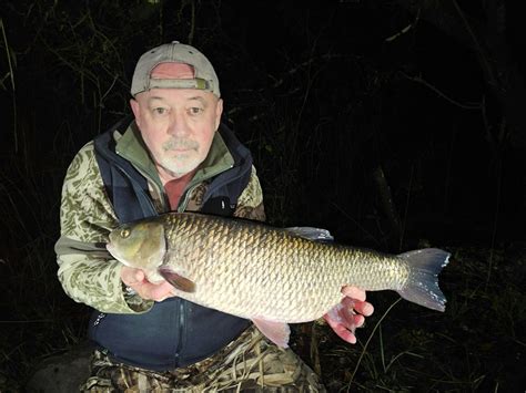 first ever drennan cup winner catches giant 8lb plus chub angling times