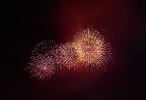 Colorful Beautiful Fireworks Salute Against The Dark Night Sky Stock
