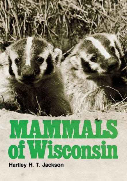 Mammals Of Wisconsin By Hartley Ht Jackson Hardcover Barnes And Noble