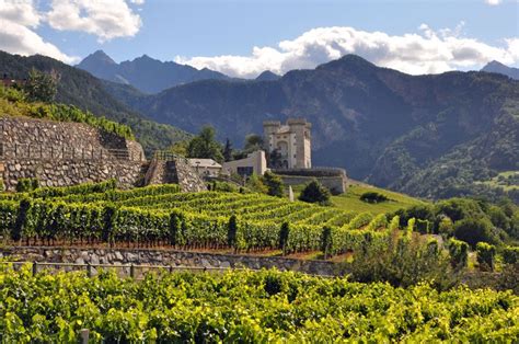 Italy Is Named The Worlds Best Wine Country Liz Palmer