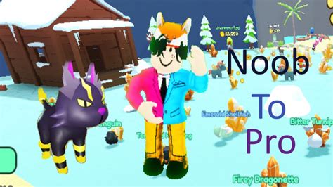 Going From Noob To Pro In The Roblox Game Pet Collector Youtube