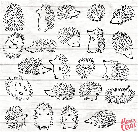 Hedgehog Clipart 22 Hedgehog Doodle Clip Art Hedgehog Card Etsy In