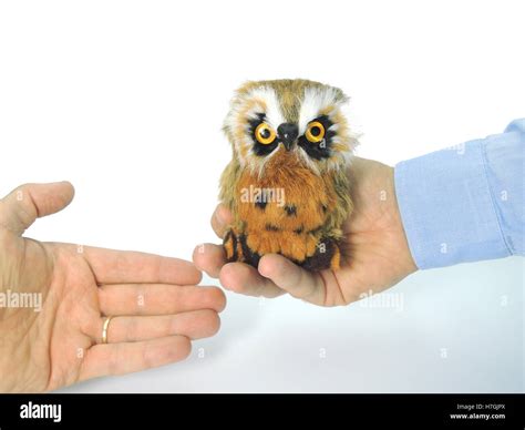 Knowledge Transfer Symbolized By Handing Over An Owl A Symbol Of
