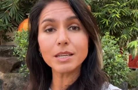 ‘unfit To Lead Tulsi Gabbard Sounds Off Over Bidens Failures In New