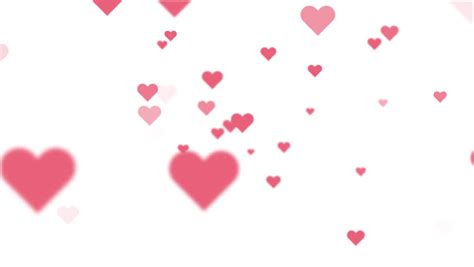 Flying Hearts Animation On White Background Stock Footage Video 100