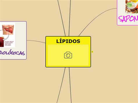 LÍPIDOS Mind Map