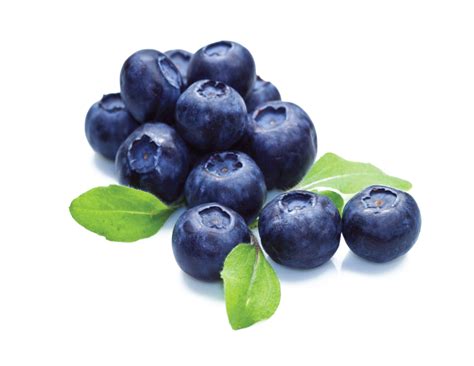 Blueberries Transparent Png All Png All