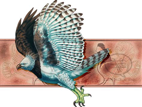 2021mmm Harpy Eagle Round 2 By Comixqueen On Deviantart