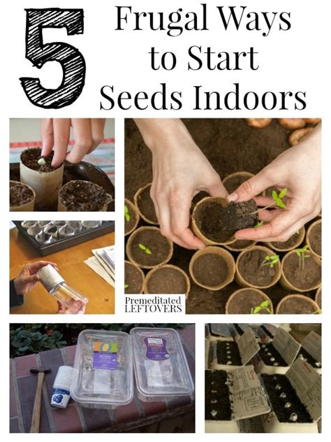 5 Frugal Ways To Start Seeds Indoors