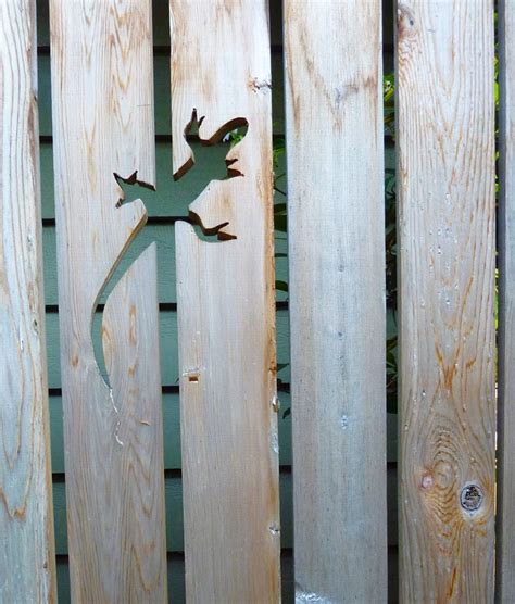 Like all reptiles, they can't regulate their body temperature so they rely on the sun to keep them warm. 55+ People Who Took Their Backyard Fences To Another Level