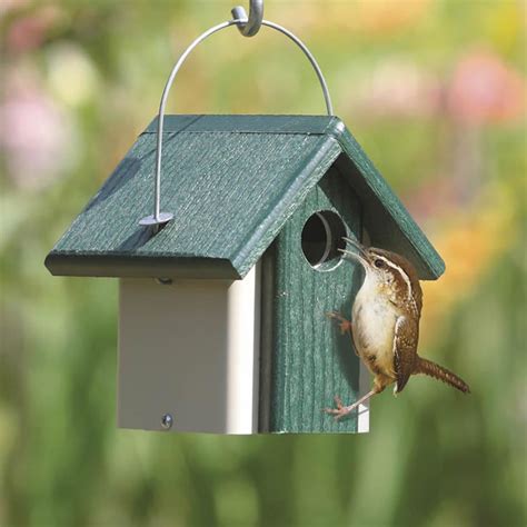 Related Post From Outstanding Ideas Wren Bird Houses