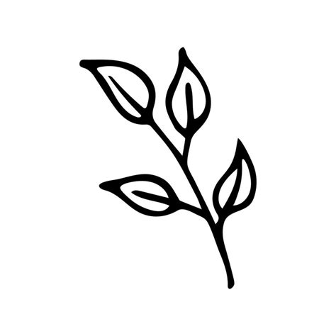 Hand Drawn Doodle Branch With Leaves Vector Black And White Twig