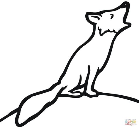 Realistic Red Fox Coloring Page Free Printable Coloring Pages Fox