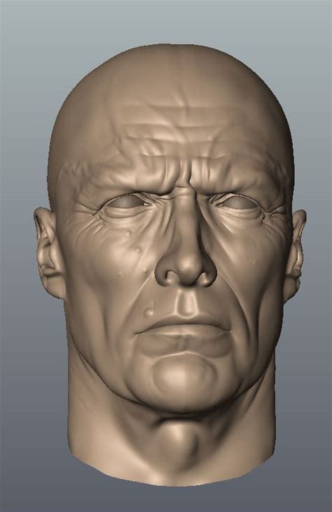 Portrait Sculpture 3d Face Model Anatomy Art