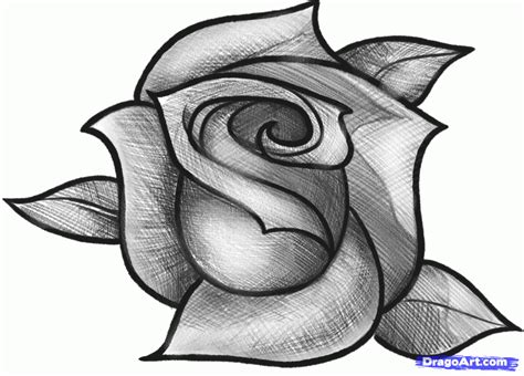 How To Sketch A Rose Step By Step Drawing Guide By Dawn Dibujos De