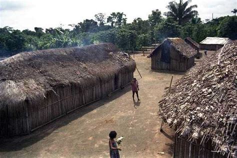 Casas Povos Indígenas No Brasil Mirim