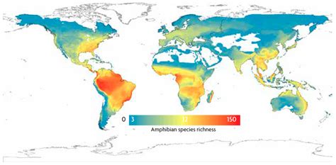 The Map Of Biodiversity